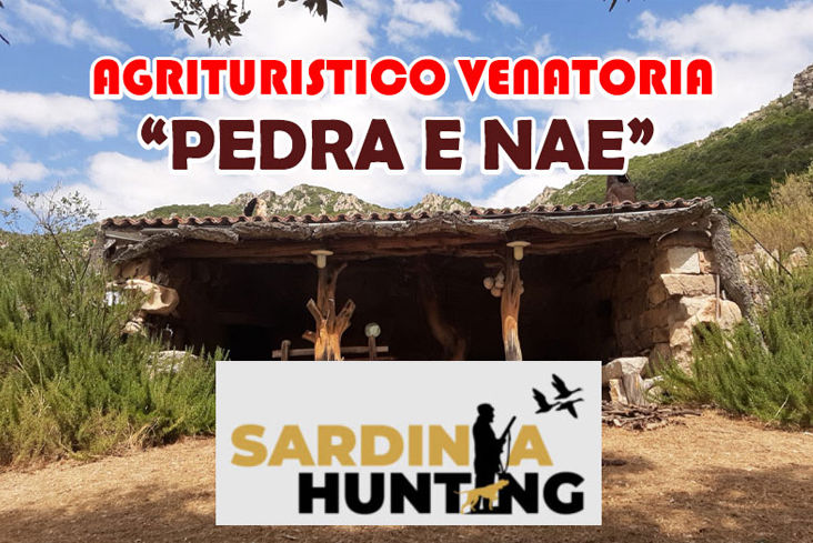 Pedra e Nae caccia in sardegna migratoria tordi beccaccia colombaccio