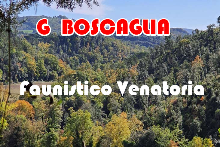 g boscaglia caccia alla beccaccia in toscana