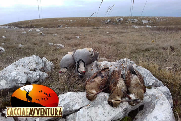 caccia ai tordi in greci caccia e avventura