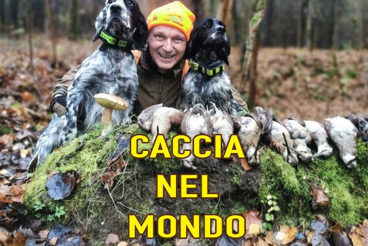 caccia nel mondo tordi in kosovo