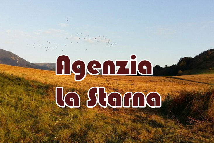 caccia alle anatre in serbia la starna